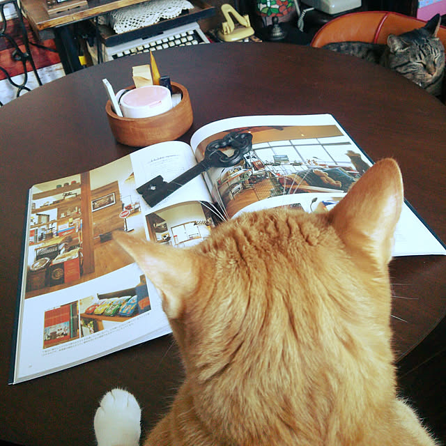 chamakonanさんの実例写真