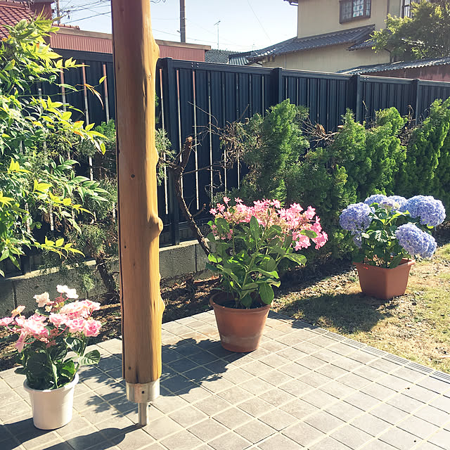 liryさんの実例写真