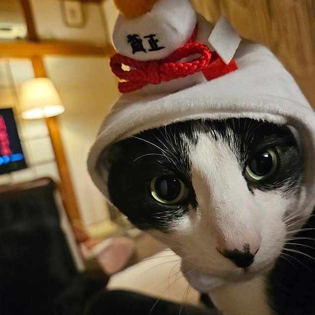 oseroさんの実例写真