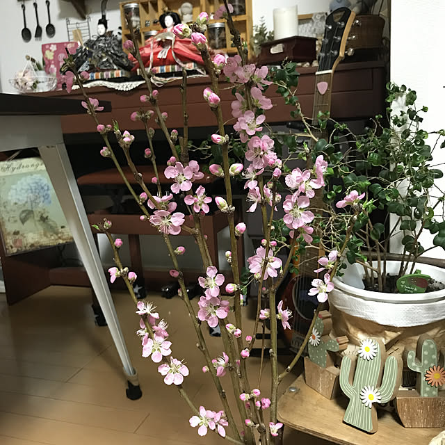 michi-michi39さんの実例写真