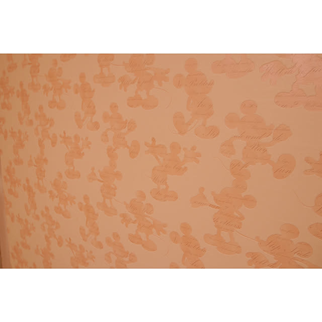 mr50160さんの実例写真