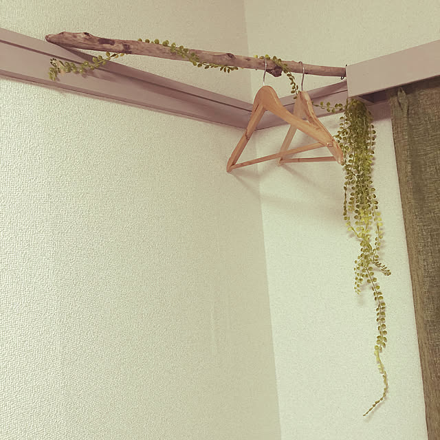 Minoriさんの実例写真