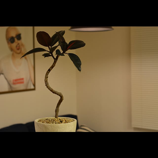 MATSUさんの実例写真