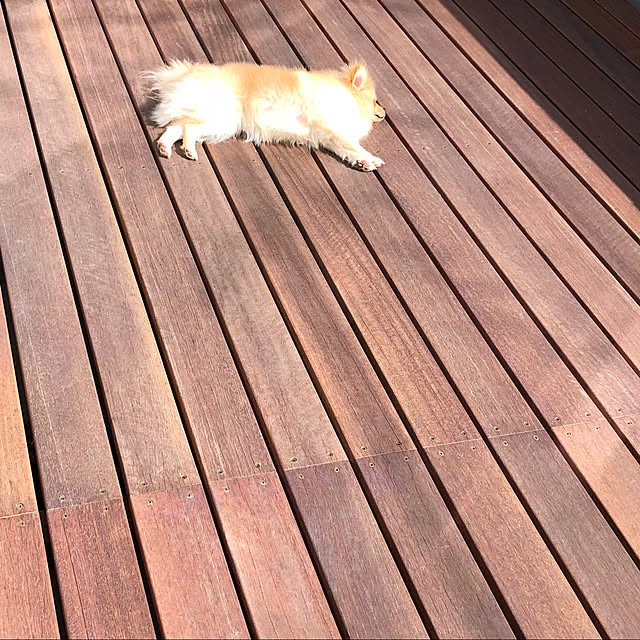 avectenさんの実例写真