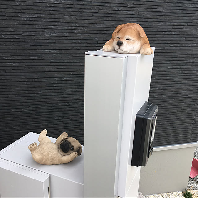 noriさんの実例写真