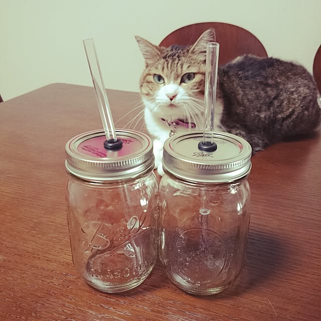 teruichiさんの実例写真