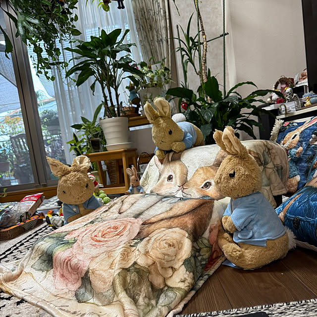 Aqettyさんの部屋