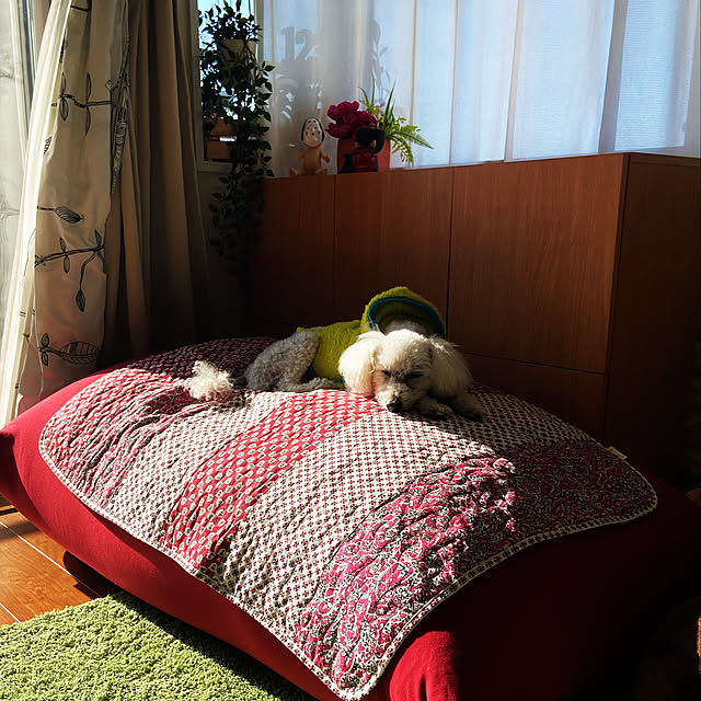 utasanさんの実例写真