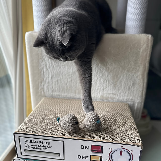 kittyさんの部屋