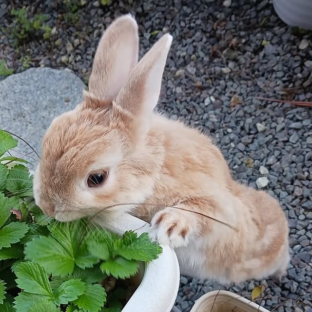 aiさんの部屋