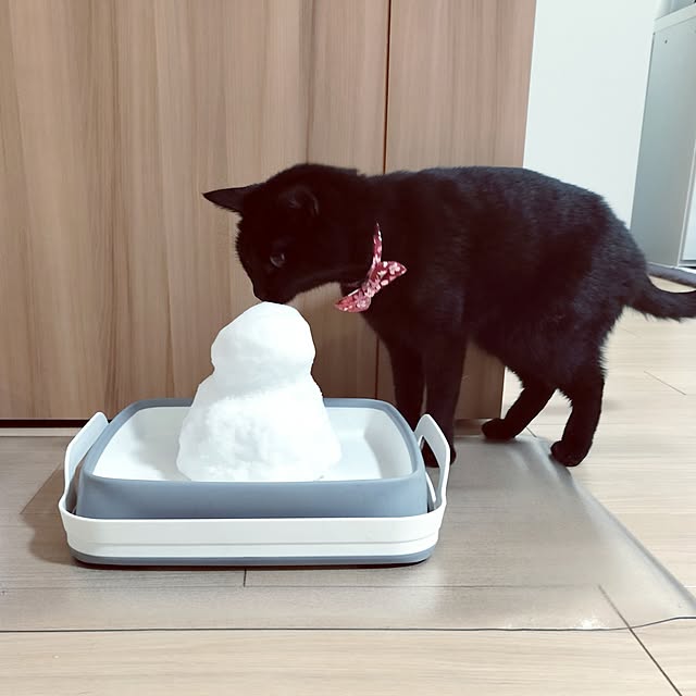 sakuraさんの実例写真