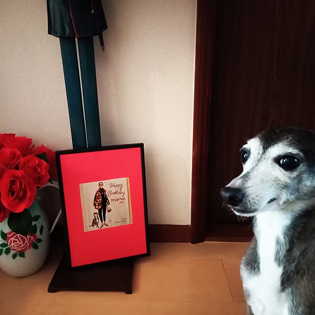 moruさんの部屋