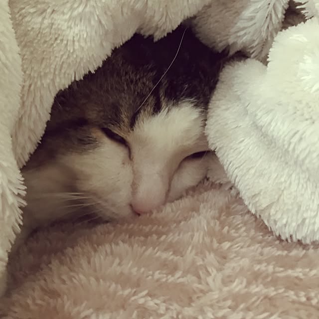 mariaさんの実例写真