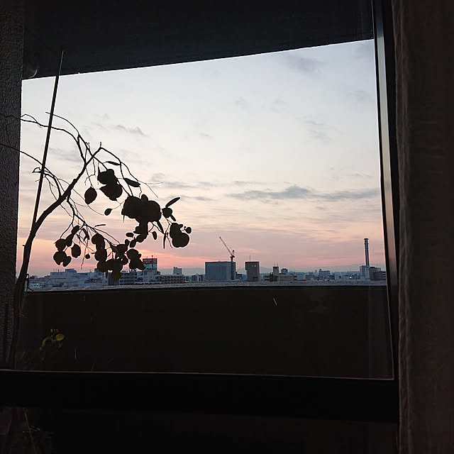 kakkaさんの実例写真