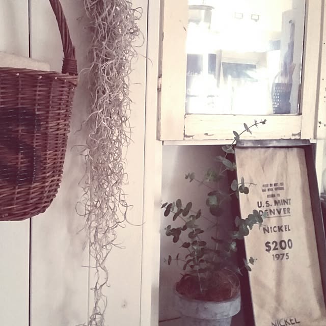 Miwaさんの実例写真