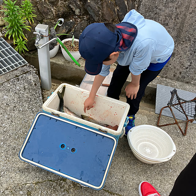 koshiregutyoさんの部屋