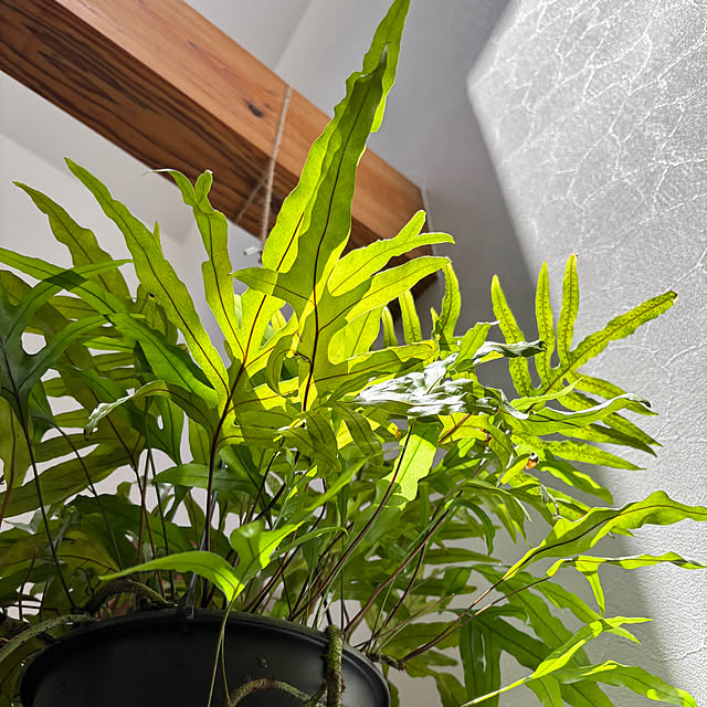 timtamさんの部屋