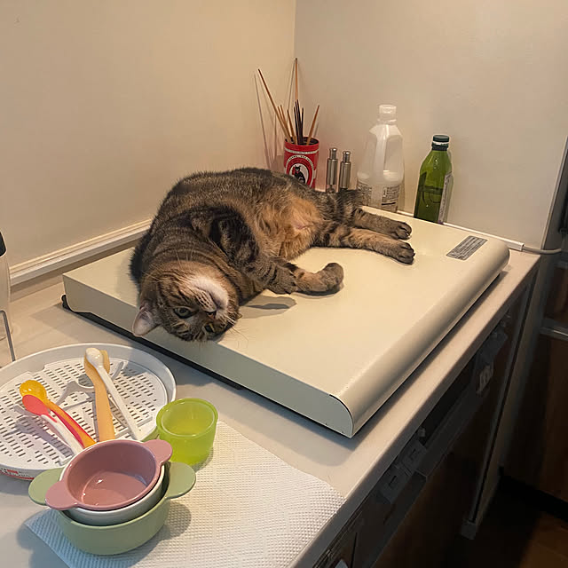 mikomaruさんの部屋
