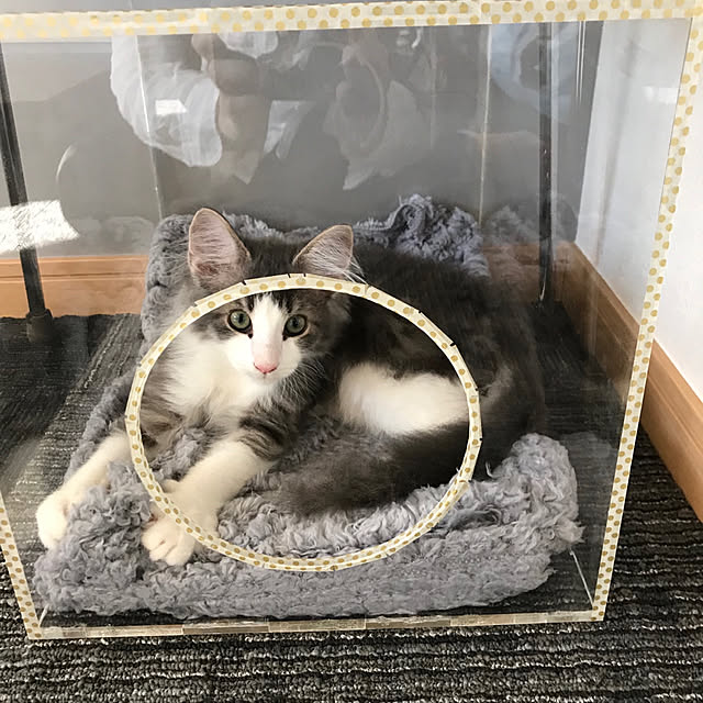 leoさんの実例写真