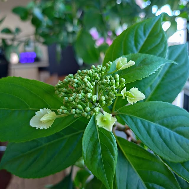 NOAHさんの実例写真