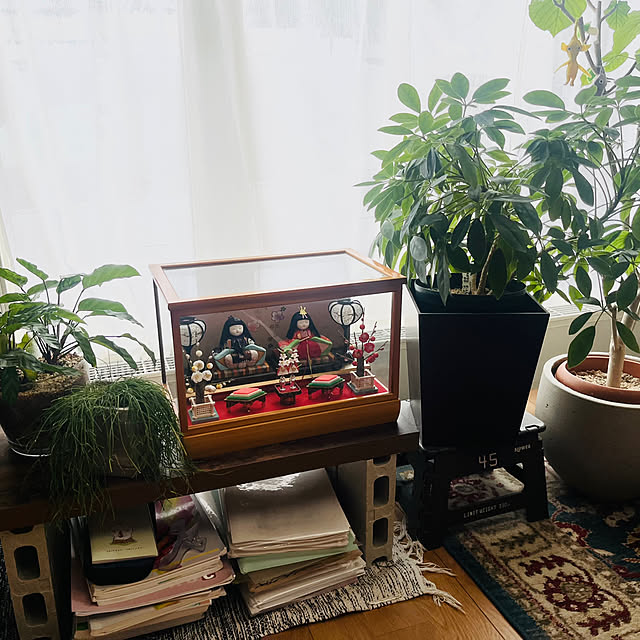 shin-chaa-mamaさんの実例写真