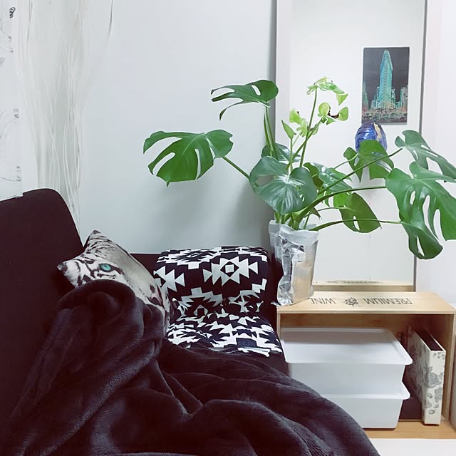 mi--m-さんの実例写真