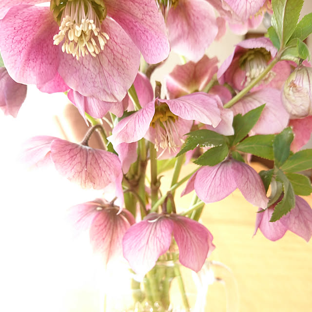 pomeさんの実例写真
