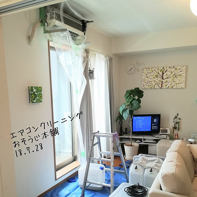 merinさんの実例写真