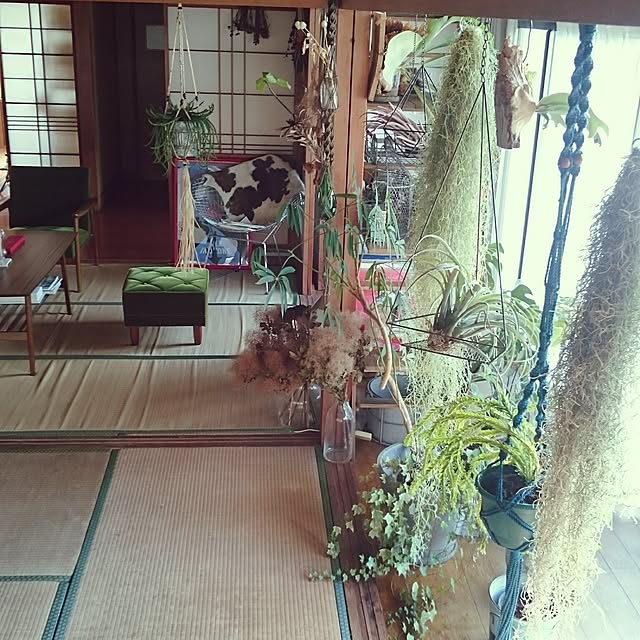 takenさんの実例写真