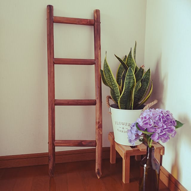 a.msrさんの実例写真