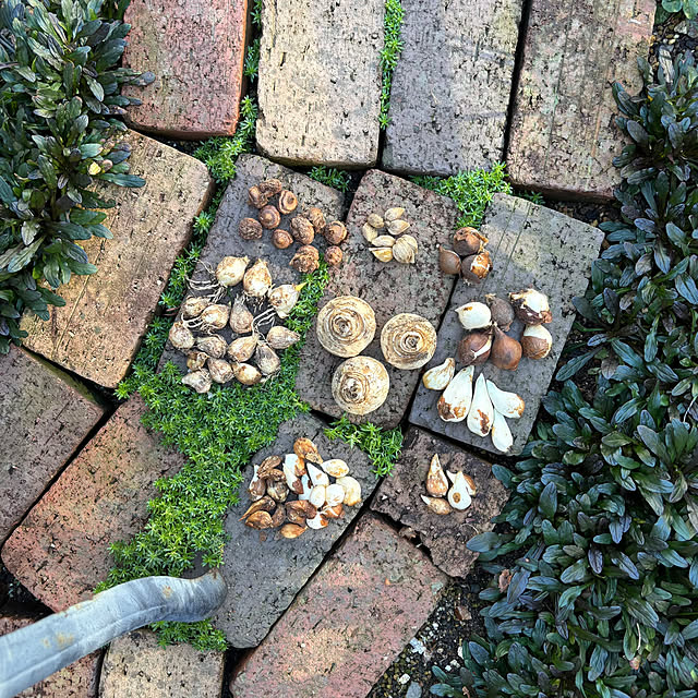 kyoko1124koさんの実例写真