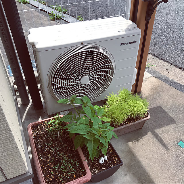 nemi396さんの実例写真