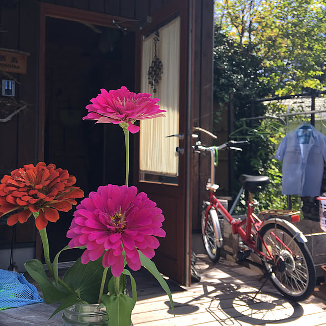 kozakura10さんの実例写真