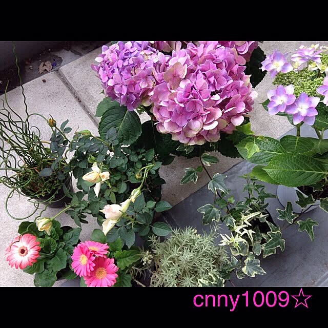 cnny1009さんの実例写真
