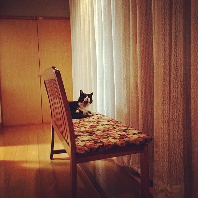009さんの実例写真