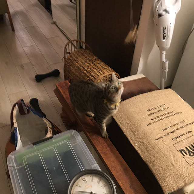 Mさんの実例写真