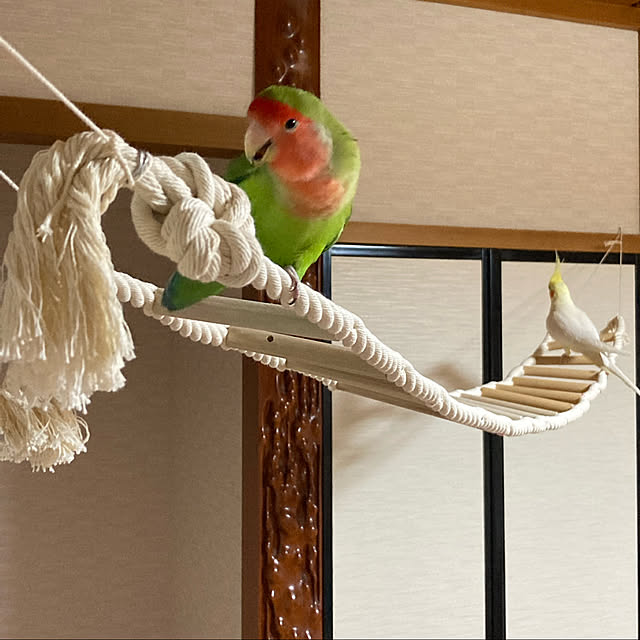 toratanさんの実例写真