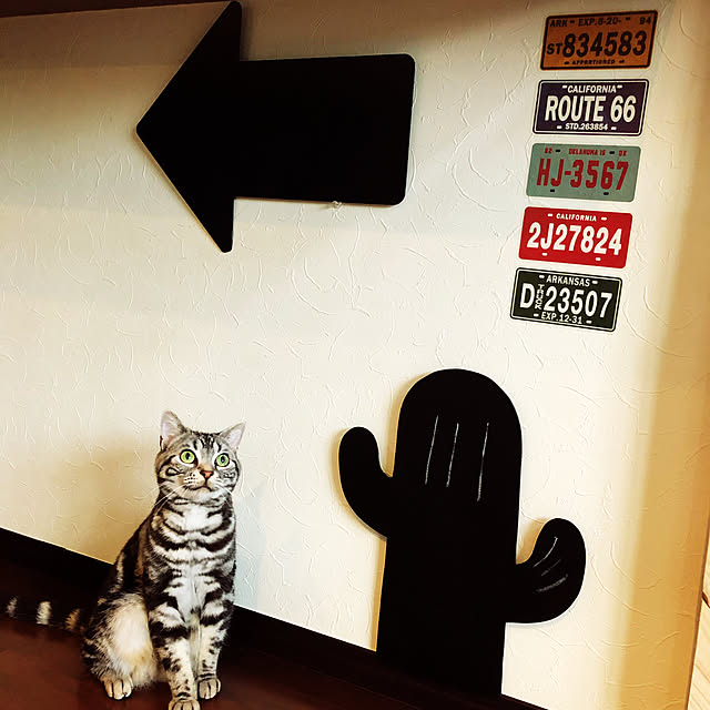 r.t.mamaさんの実例写真
