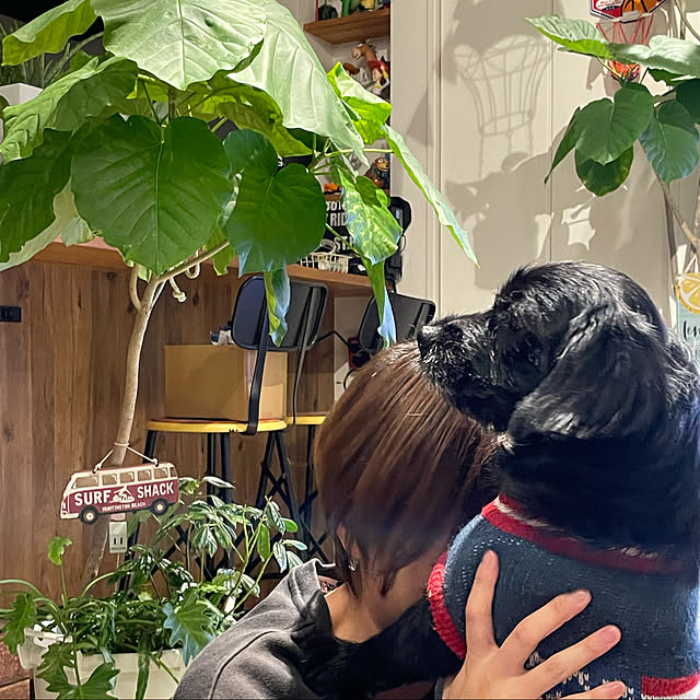 marinkoさんの実例写真