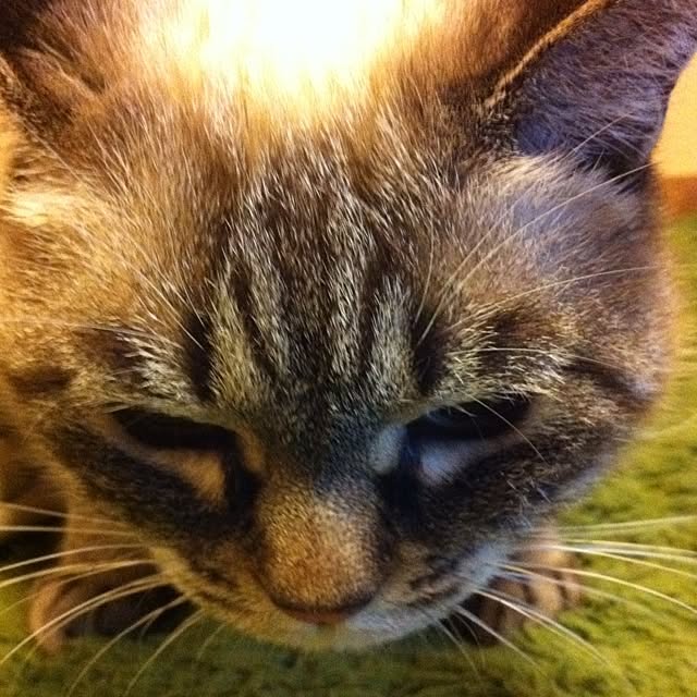 SUMISさんの実例写真