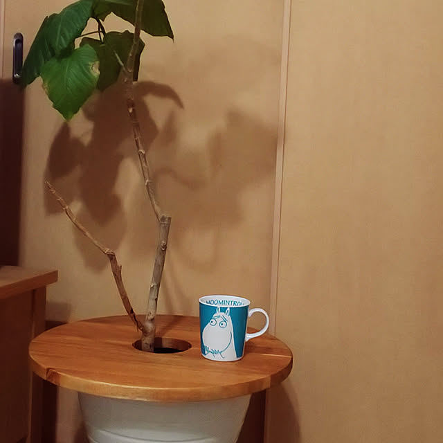 Mikiさんの実例写真