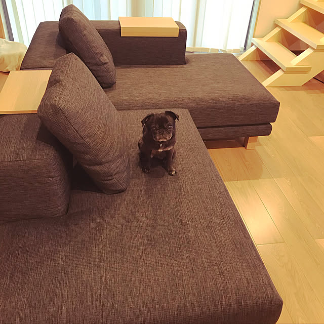 hasegagagaさんの実例写真