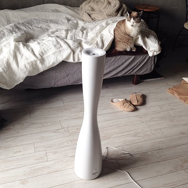 NEiGEDROiTさんの実例写真