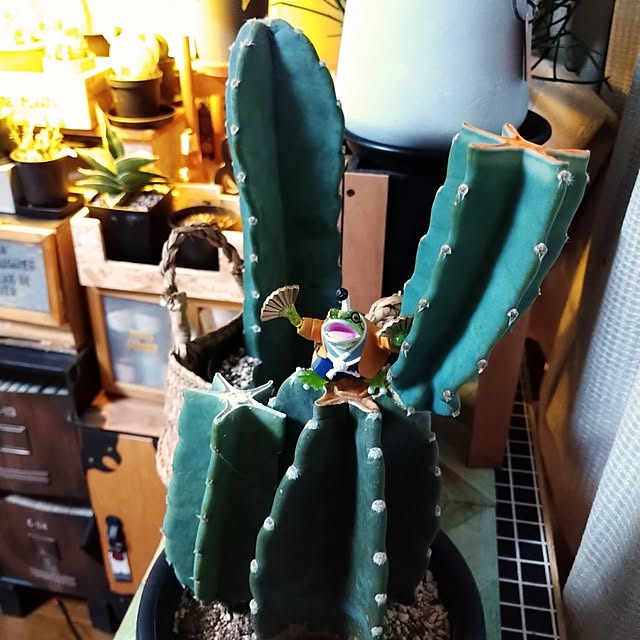 2menmamaさんの実例写真
