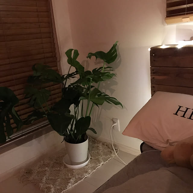 ___yuki.さんの実例写真