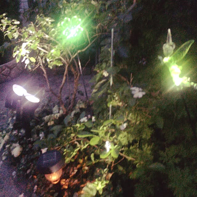 tamaさんの実例写真