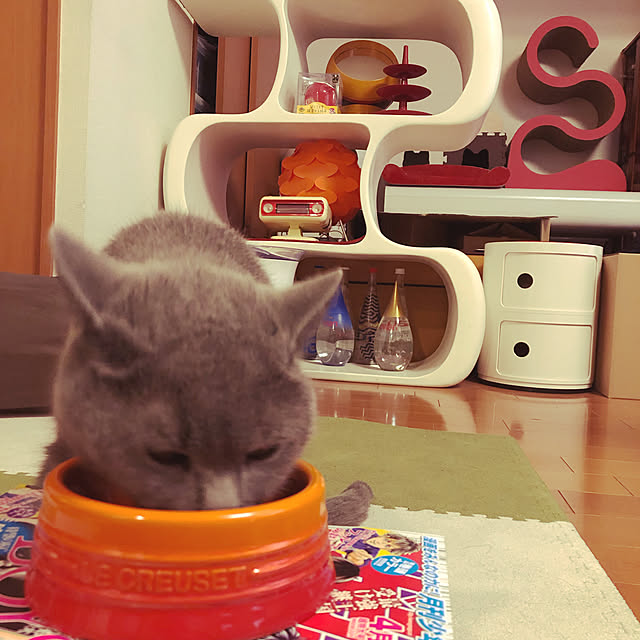 ikettenさんの実例写真