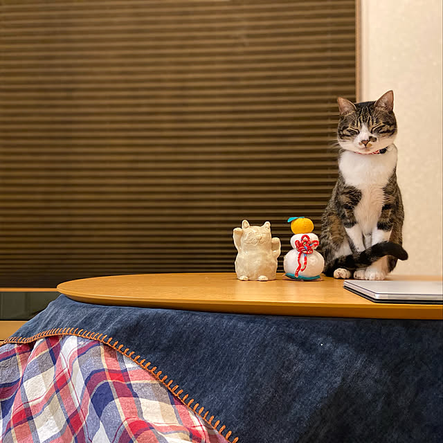 ippu0303Karinさんの実例写真