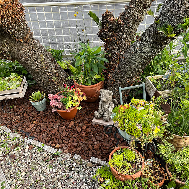 dainaoreiさんの部屋