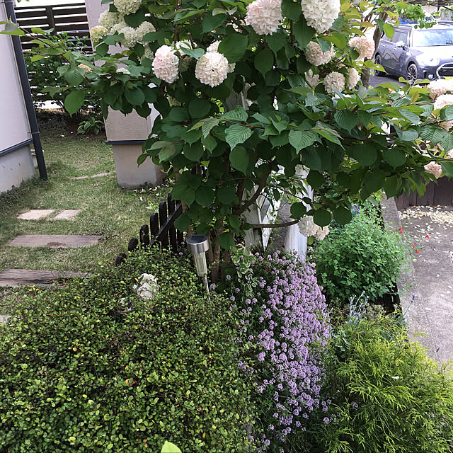 akeさんの実例写真